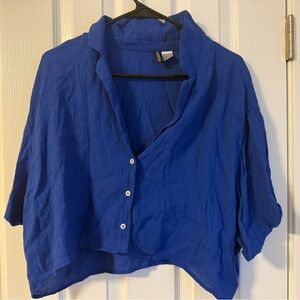H&M Royal Blue Button-Down Shirt
